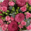 Сегодня твой день