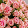 15 кустовых роз